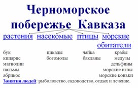 Обложка для материала Окружающий мир для начальных классов_схема_27