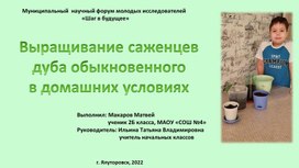 Презентация к исследовательскому проекту "Выращивание дуба обыкновенного в домашних условиях"