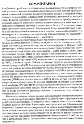 Обложка для материала материал по психофизиологии