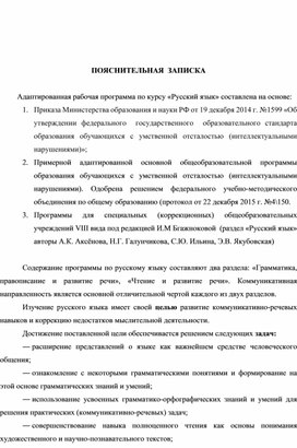 Адаптированная рабочая программа по курсу «Русский язык»