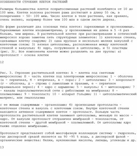Обложка для материала Строение растительной клетки: