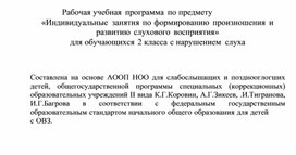 Обложка для материала Рабочая учебная программа по предмету «Индивидуальные занятия по формированию произношения и развитию слухового восприятия» для обучающихся 2 класса с нарушением слуха