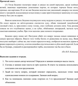 Обложка для материала Задание для подготовки к ВПР по русскому языку в 4 классе.