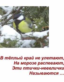 Загадки о зимующих птицах