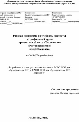 Рабочая программа "Профильный труд"  для детей с РАС.