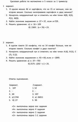 Обложка для материала Срезовая работа по математике в 5 классе