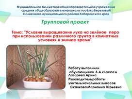 Групповой проект  Тема: "Условия выращивания лука на зелёное  перо при использовании различного грунта в комнатных условиях в зимнее время".
