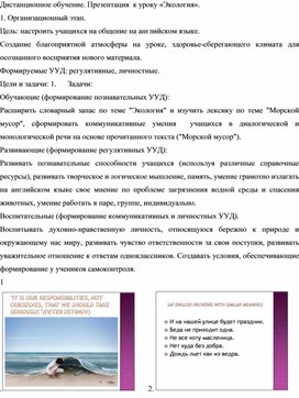 Дистанционный урок по теме "Экология. Морской мусор"