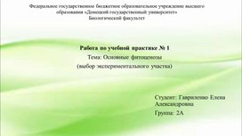 Обложка для материала Основные фитоценозы