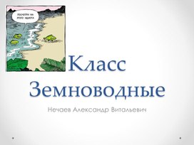 Класс земноводные