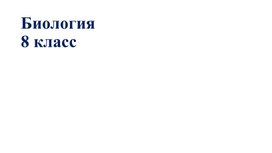 Многообразие простейших. Значение простейших в природе и жизни человека. Лабораторная работа «Многообразие простейших (на готовых препаратах)»