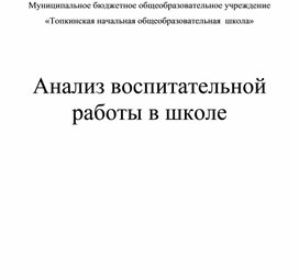 Анализ воспитательной работы в школе за год