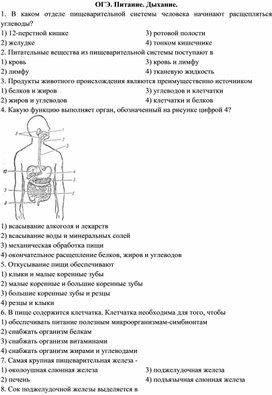 ОГЭ. Питание.