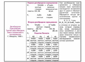 Обложка для материала Биология в таблицах