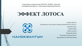 Исследовательский проект "Эффект лотоса"