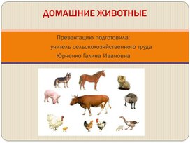 Презентация по сельскохозяйственному труду  на тему "Домашние животные" (5 класс)
