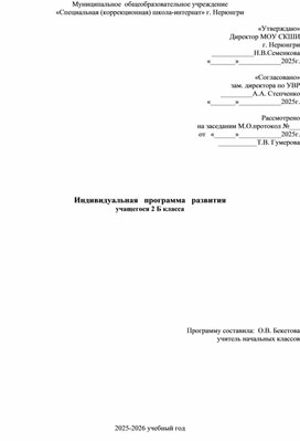 Обложка для материала Специальная Индивидуальная программа развития