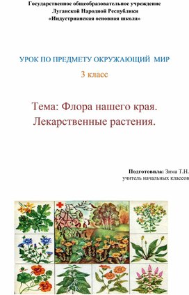 Обложка для материала Урок по окружающему миру  Тема. Флора нашего края. Лекарственные растения