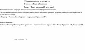 Рабочая программа по литературе