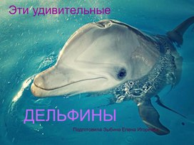 Обложка для материала Эти удивительные дельфины
