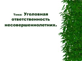 Классный час на тему:"Уголовная ответственность н"