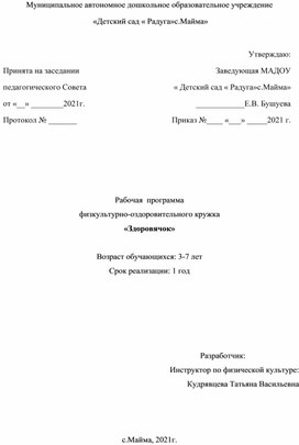 Рабочая программа по кружковой деятельности