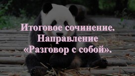 Обложка для материала Итоговое декабрьское сочинение. Разговор с собой