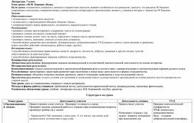 Конспект урока по литературе в 7 классе. Тема: «М.М. Зощенко «Беда».