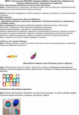 Занятие дефектолога с надомником (2 вариант)Группировка предметов по различным признакам.