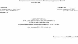 РАБОЧАЯ ПРОГРАММА  ПО РЕАЛИЗАЦИИ ОБРАЗОВАТЕЛЬНОЙ ПРОГРАММЫ  ДОШКОЛЬНОГО ОБРАЗОВАНИЯ В группе комбинированной направленности для детей с ЗПР от 6 до 7 лет срок  реализации 2024 -2025 учебный год