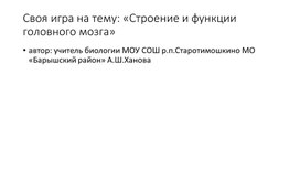 Обложка для материала Методическая разработка. Мультимедиапрезентация  на тему: "строение головного мозга"