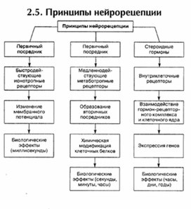 Обложка для материала материал по психофизиологии