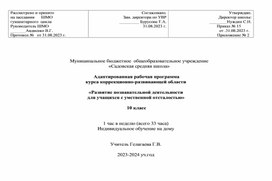 Обложка для материала Адаптированная рабочая программа курса коррекционно-развивающей области 10 класс