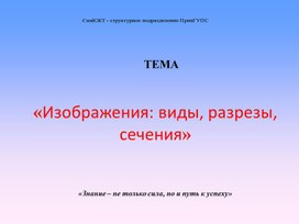 Обложка для материала ПРЕЗЕНИАЦИЯ УРОКА ВИДЫ, РАЗРЕЗЫ, СЕЧЕНИЯ