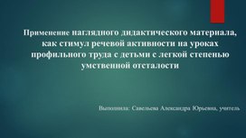 Обложка для материала Применение наглядного дидактического материала, как стимул речевой активности на уроках профильного труда с детьми с легкой степенью умственной отсталости