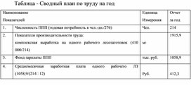 Обложка для материала Таблица - Сводный план по труду на год