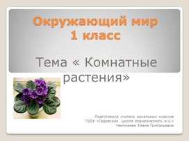 Обложка для материала Тема « Комнатные растения»