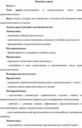 «Единственное и множественное число имен существительных».