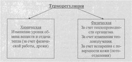 Материал к урокам  биологии