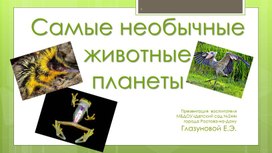 Обложка для материала Презентация "Необычные животные"
