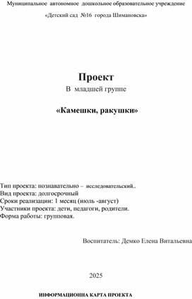 Обложка для материала Проект Камешки, ракушки