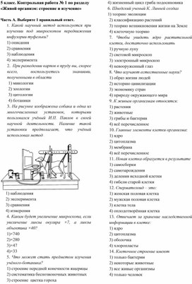 Обложка для материала Контрольные и проверочные работы