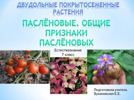 Презентация "Паслёновые. Общие признаки паслёновых" (естествознание 7 класс)