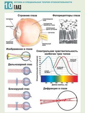 Обложка для материала глаз