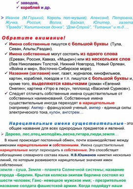 Обложка для материала Основные признаки имени существительного