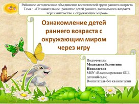 Обложка для материала Ознакомление детей раннего возраста с окружающим миром через игру