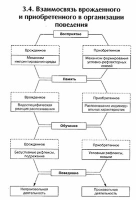 Обложка для материала материал по психофизиологии