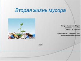 Проект "Вторая жизнь мусора"