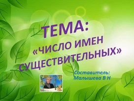 Презентеция по русскому языку. Тема:" Число имен существительных".