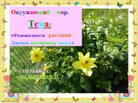 Обложка для материала Окружающий мир. Тема:"Разновидности растений.Деревья. Кустарники. Травы. Охрана природы."